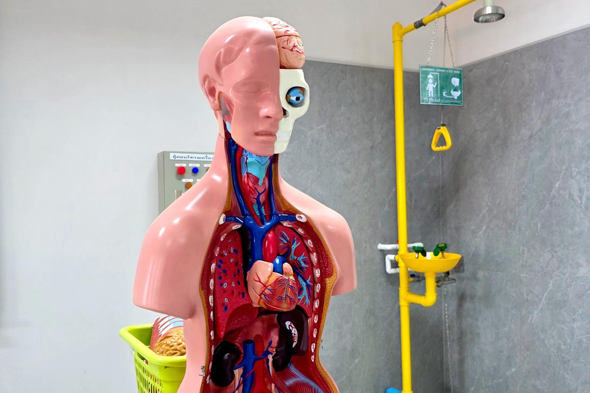 Secondary science room